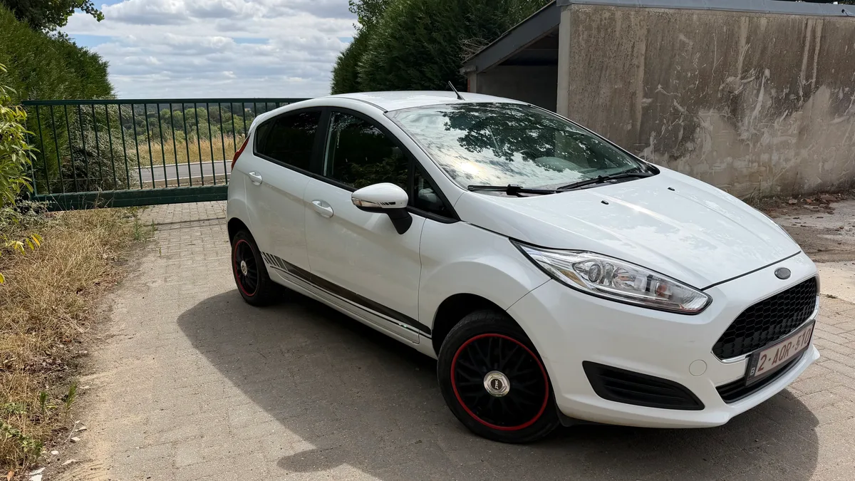 Ford Fiesta 2017 — photo 2