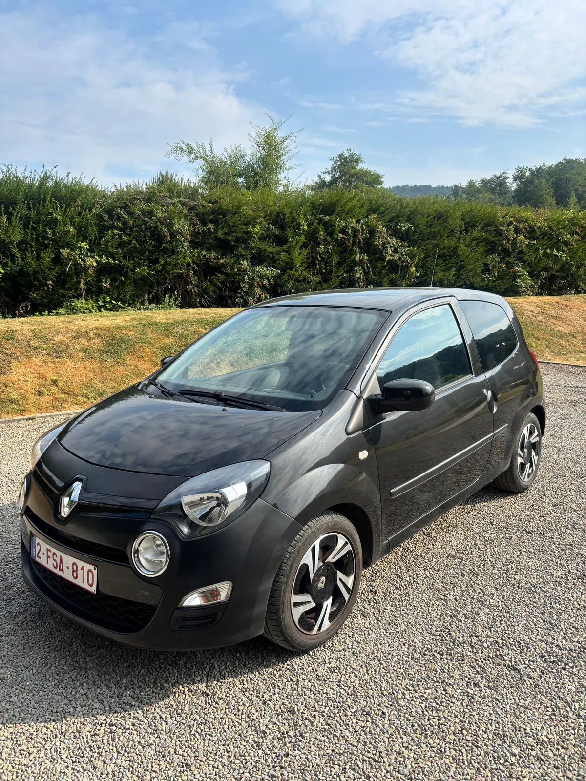 Renault Twingo 2014 — photo 1