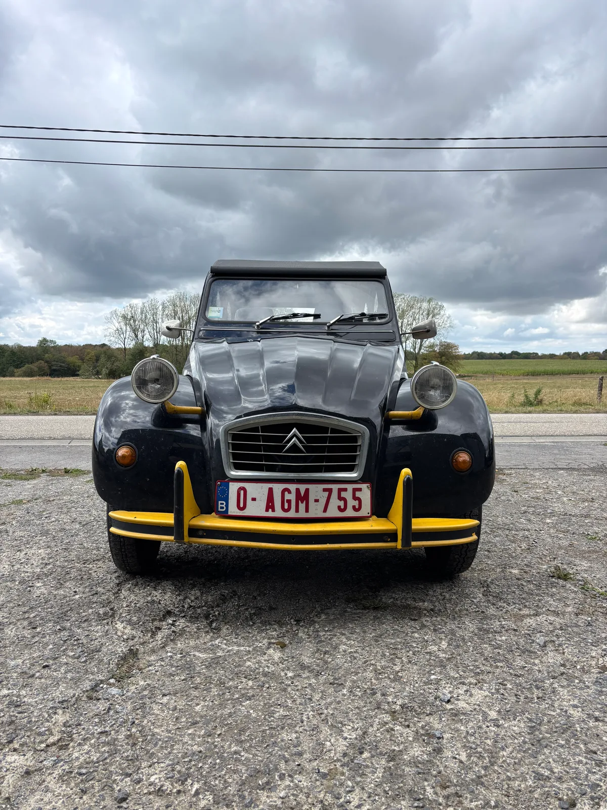 Citroën 2CV 1990 — photo 1