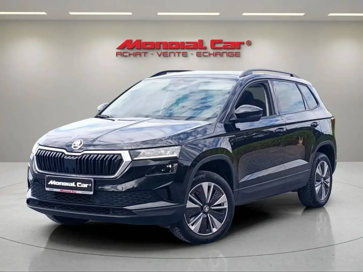 Skoda Karoq 2023 — photo 1