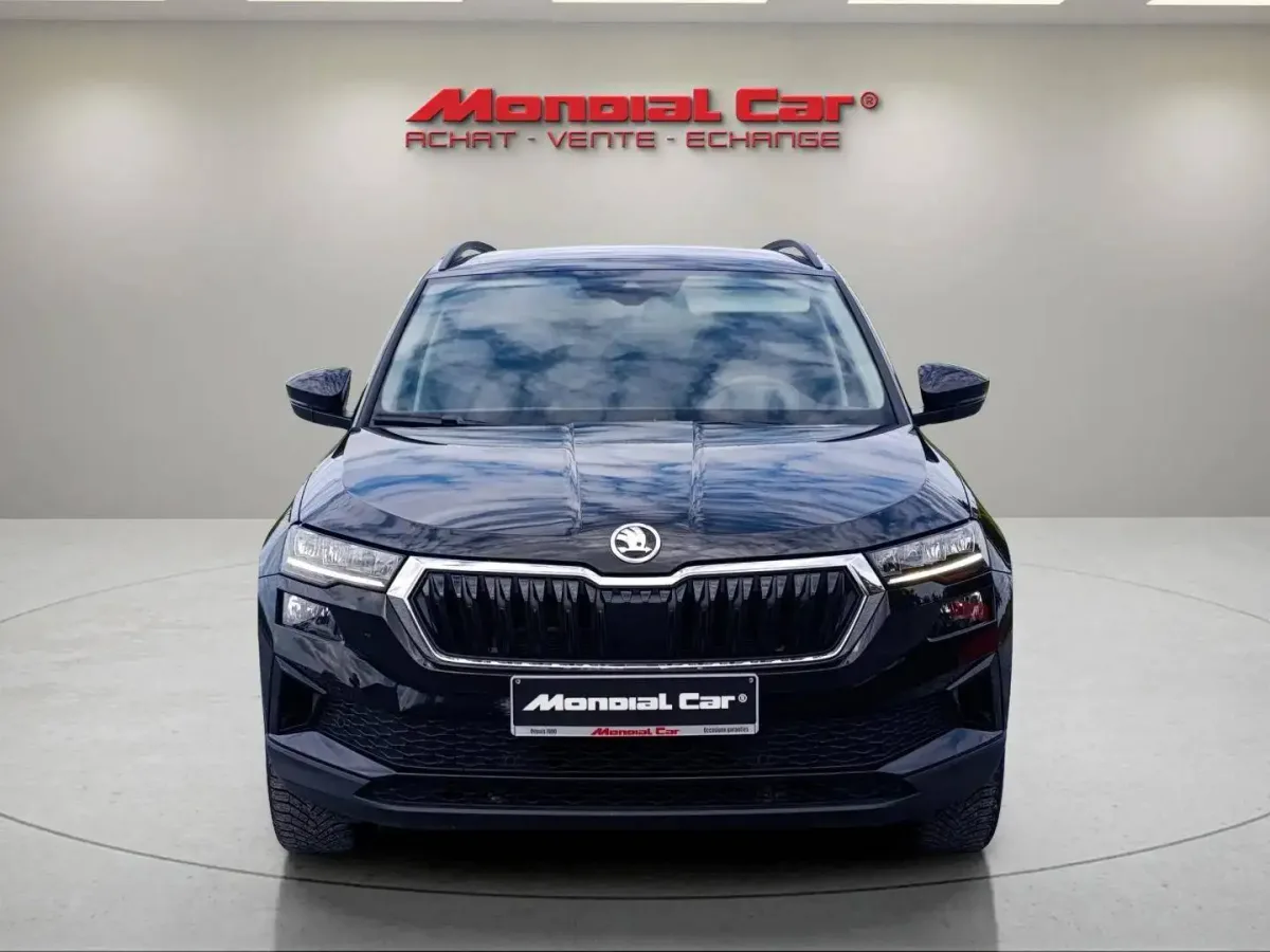 Skoda Karoq 2023 — photo 2