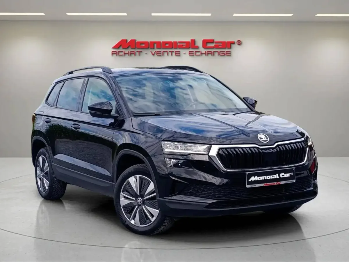 Skoda Karoq 2023 — photo 3