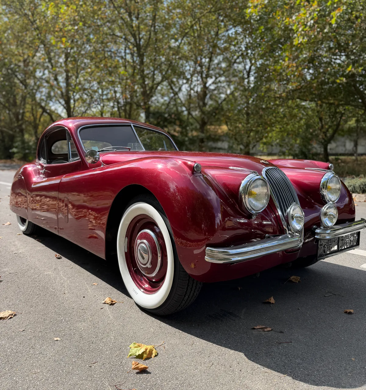 Jaguar XK120 1954 — photo 1