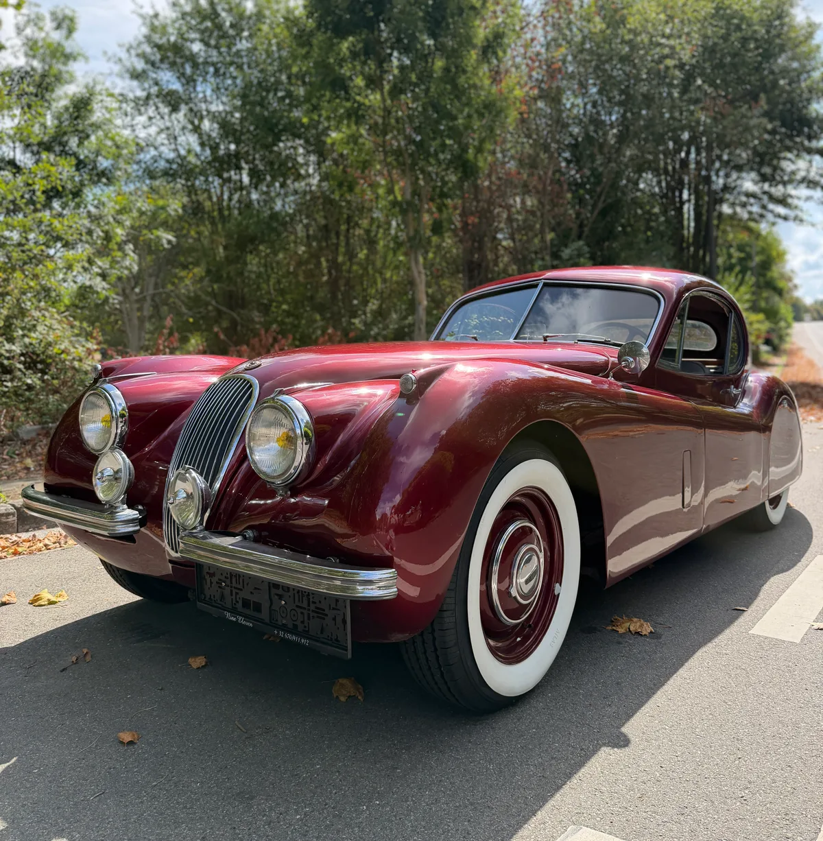 Jaguar XK120 1954 — photo 2