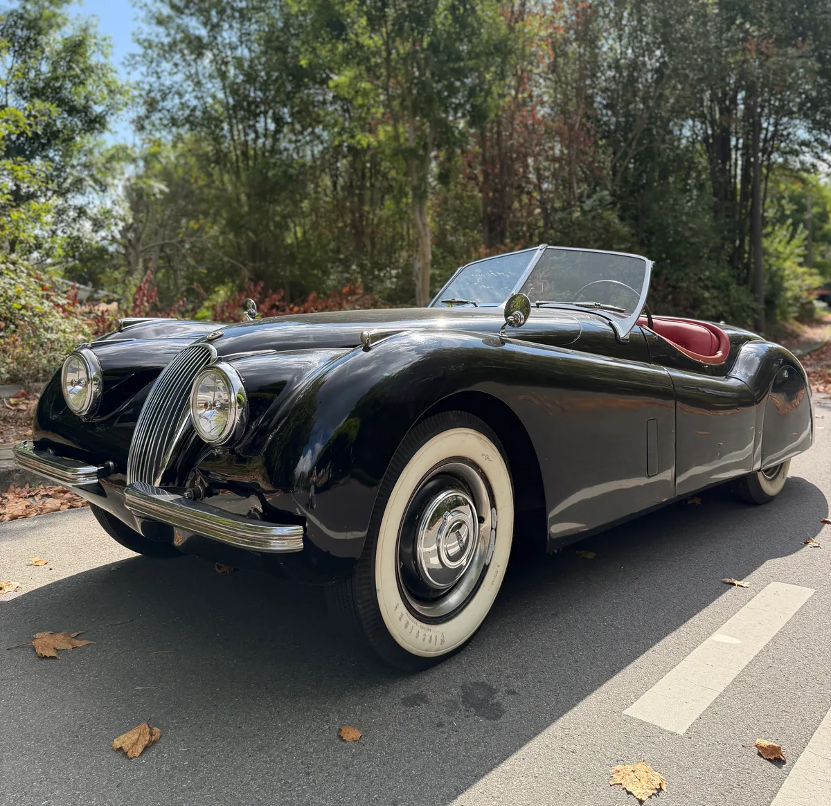 Jaguar XK120 1952 — photo 2