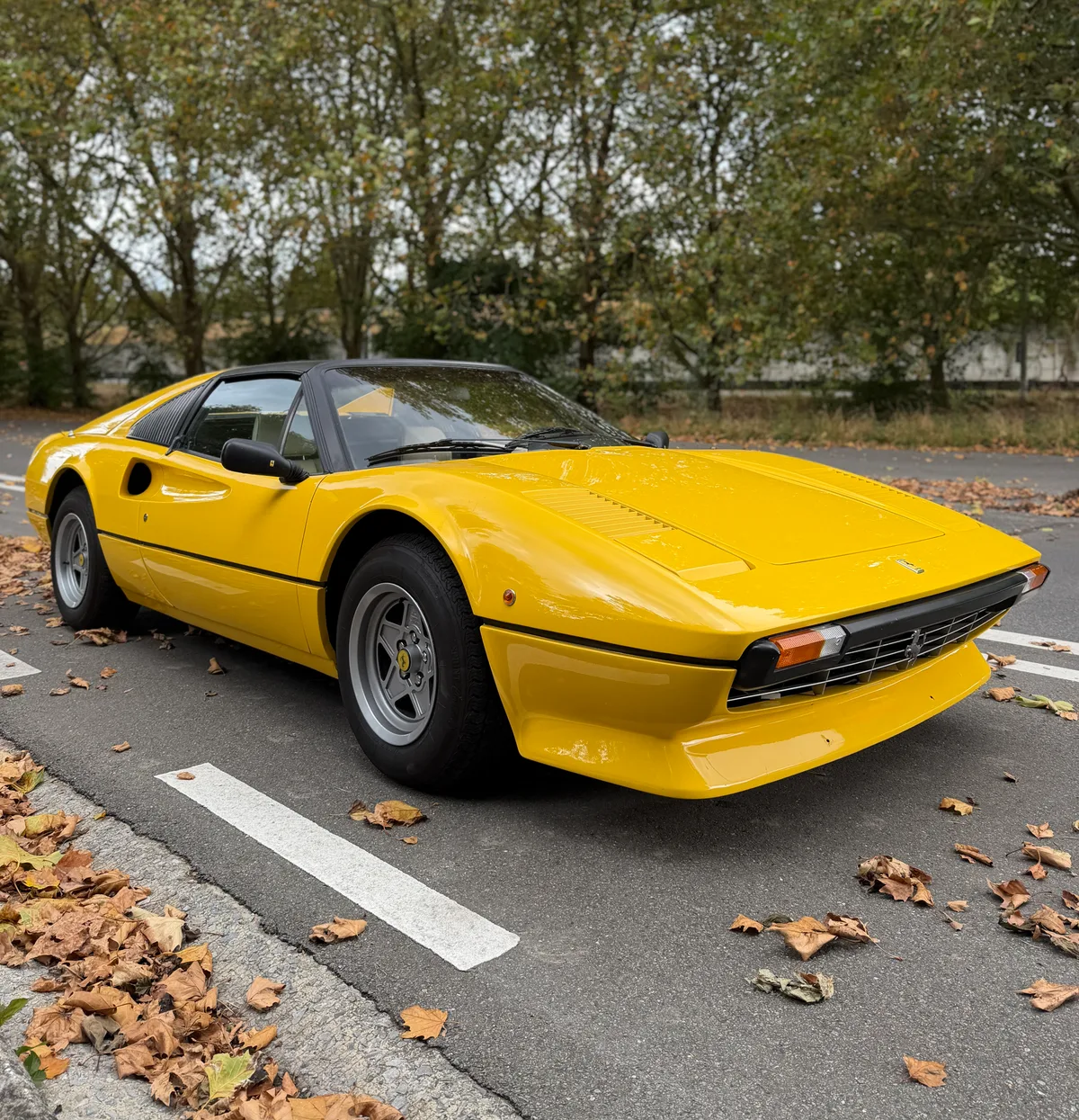 Ferrari 308 GTB / GTS 1979 — photo 1