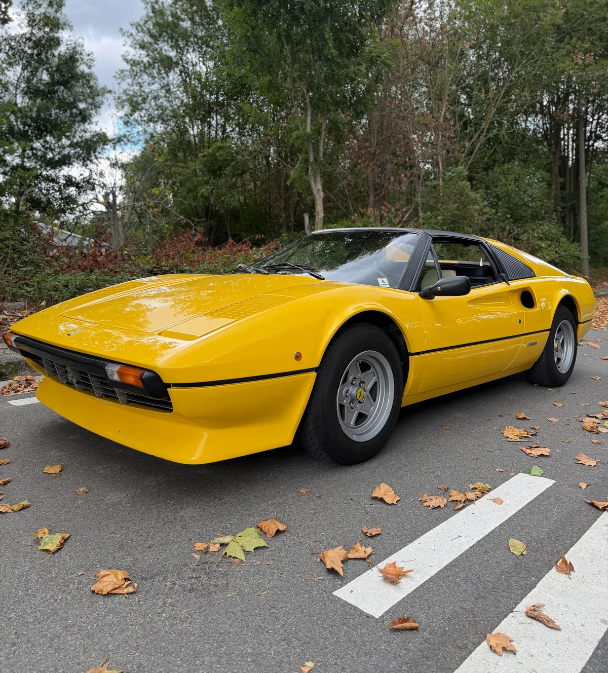 Ferrari 308 GTB / GTS 1979 — photo 2