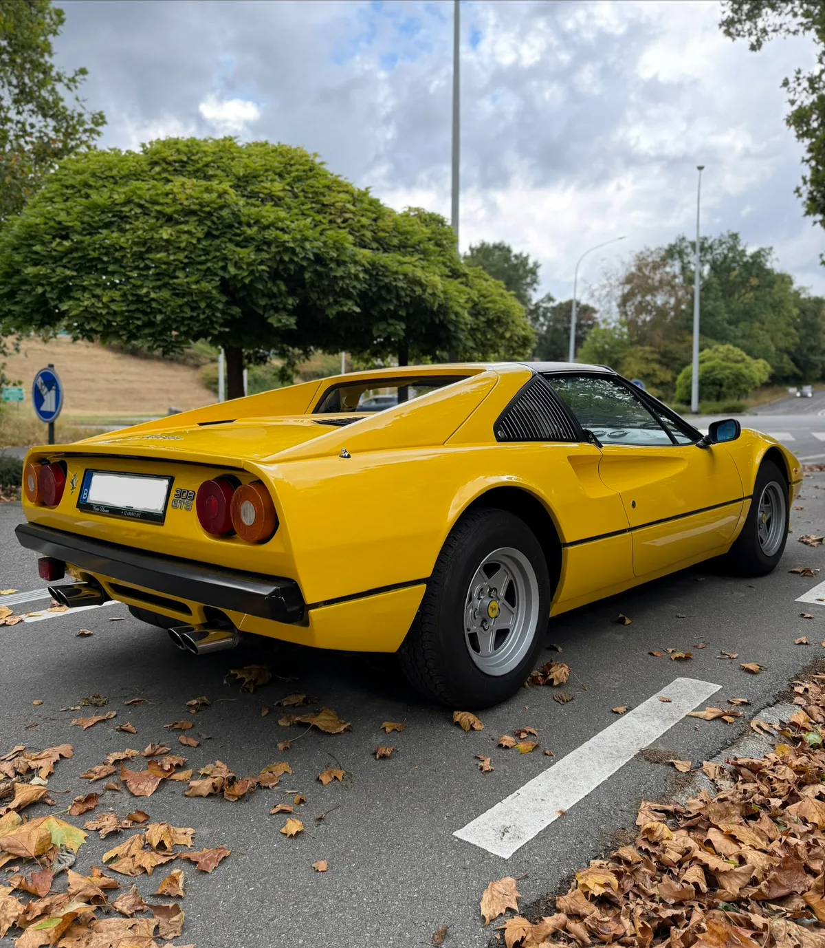 Ferrari 308 GTB / GTS 1979 — photo 3