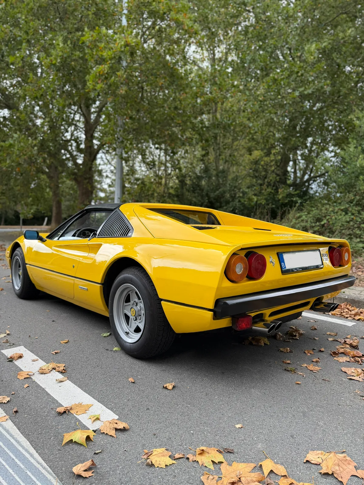 Ferrari 308 GTB / GTS 1979 — photo 4