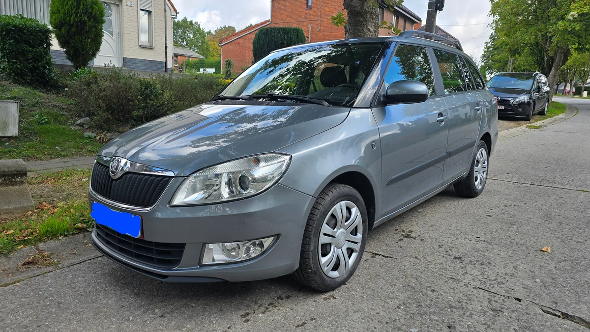 Skoda Fabia 2013 — photo 1