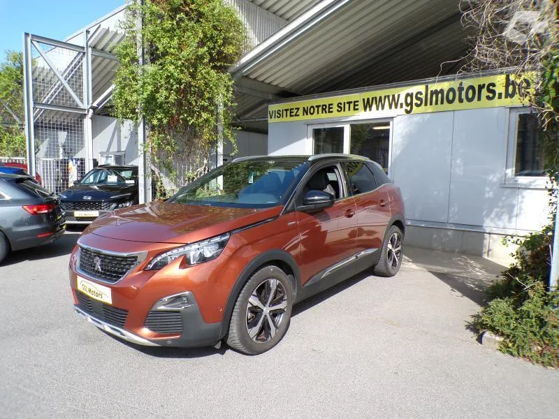 Peugeot 3008 2019 — photo 1