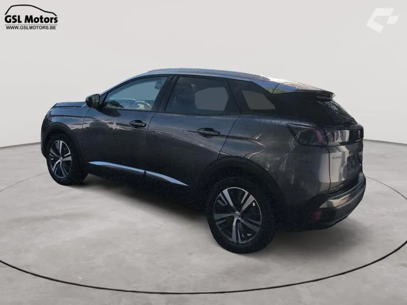 Peugeot 3008 2020 — photo 4