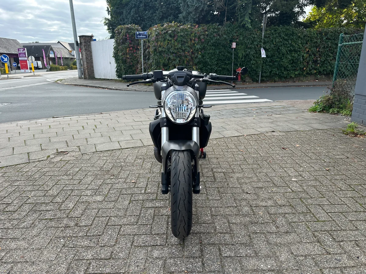 Ducati Monster 2016 — photo 4