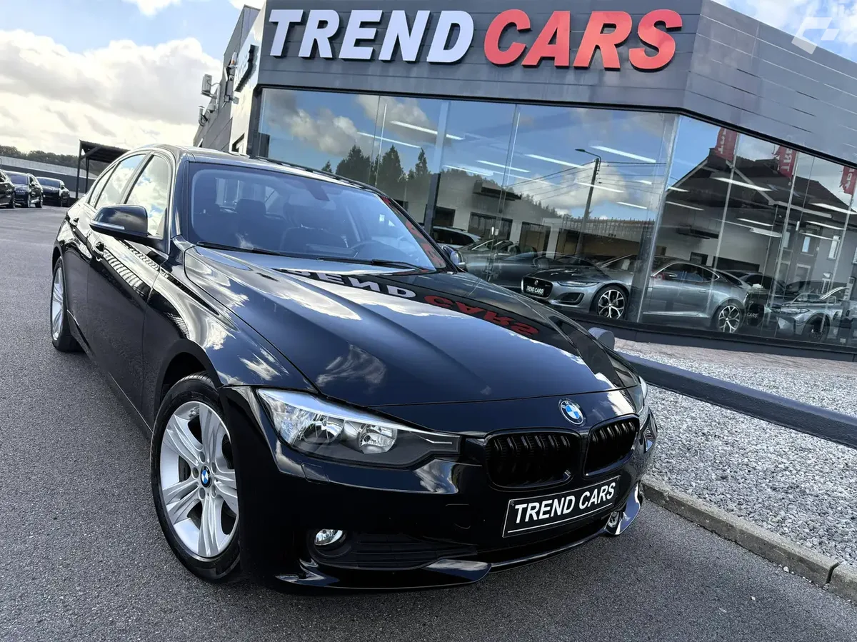 BMW 316 2014 — photo 1