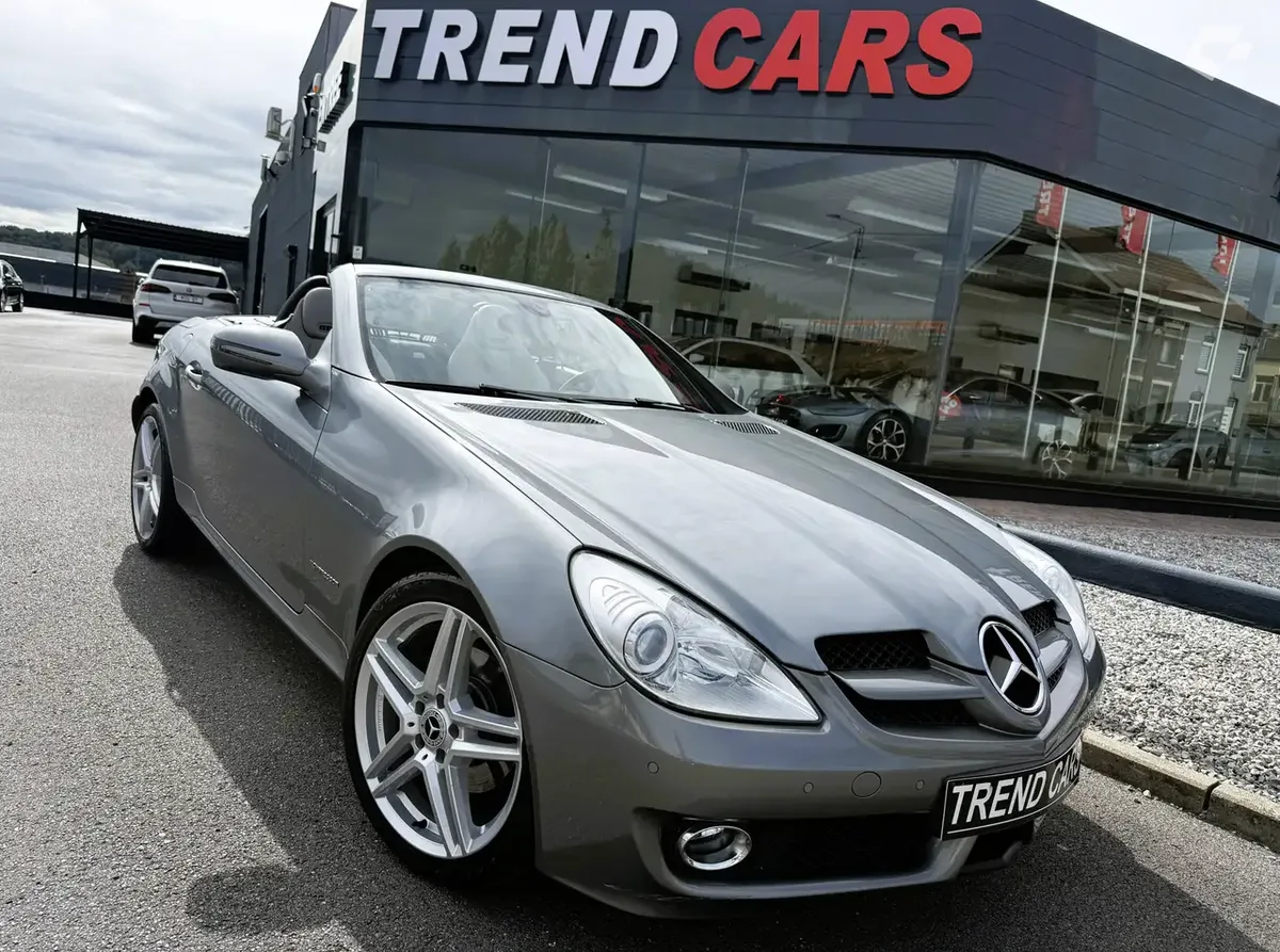Mercedes-Benz SLK 2010 — photo 1