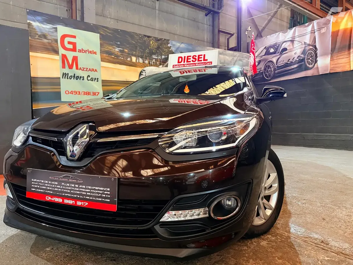Renault Megane 2014 — photo 1