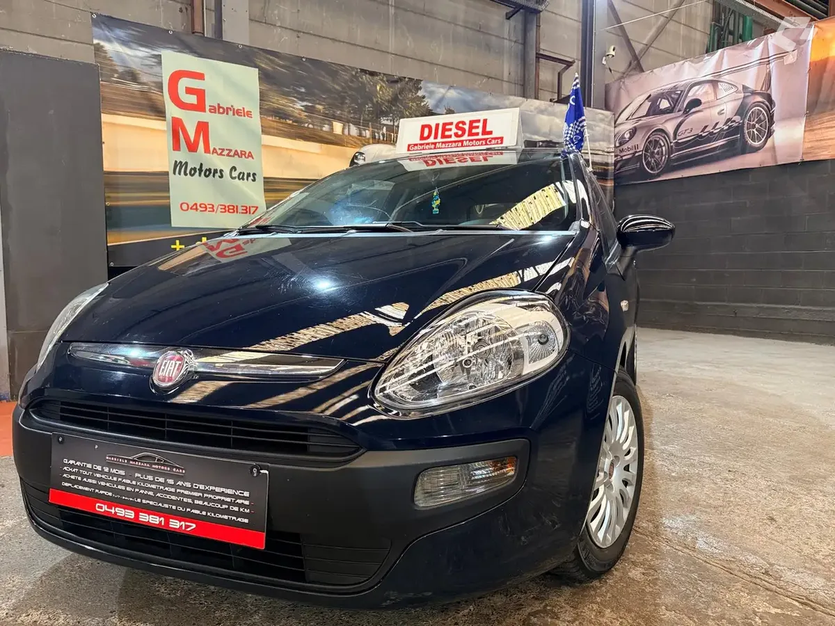 Fiat Punto Evo 2010 — photo 1