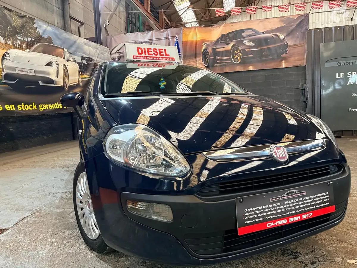 Fiat Punto Evo 2010 — photo 2